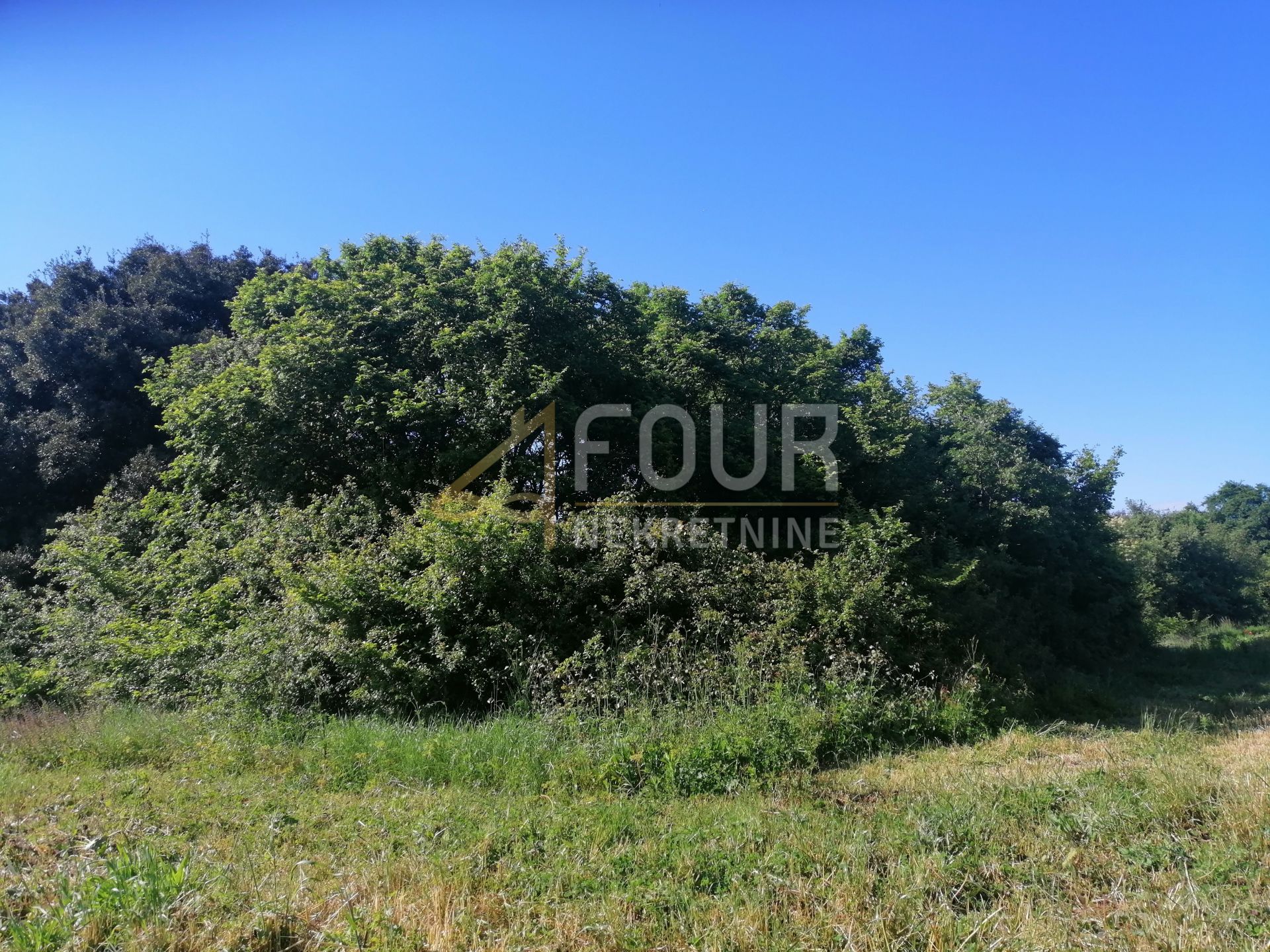 Zemljište u Ližnjanu, 9985m²