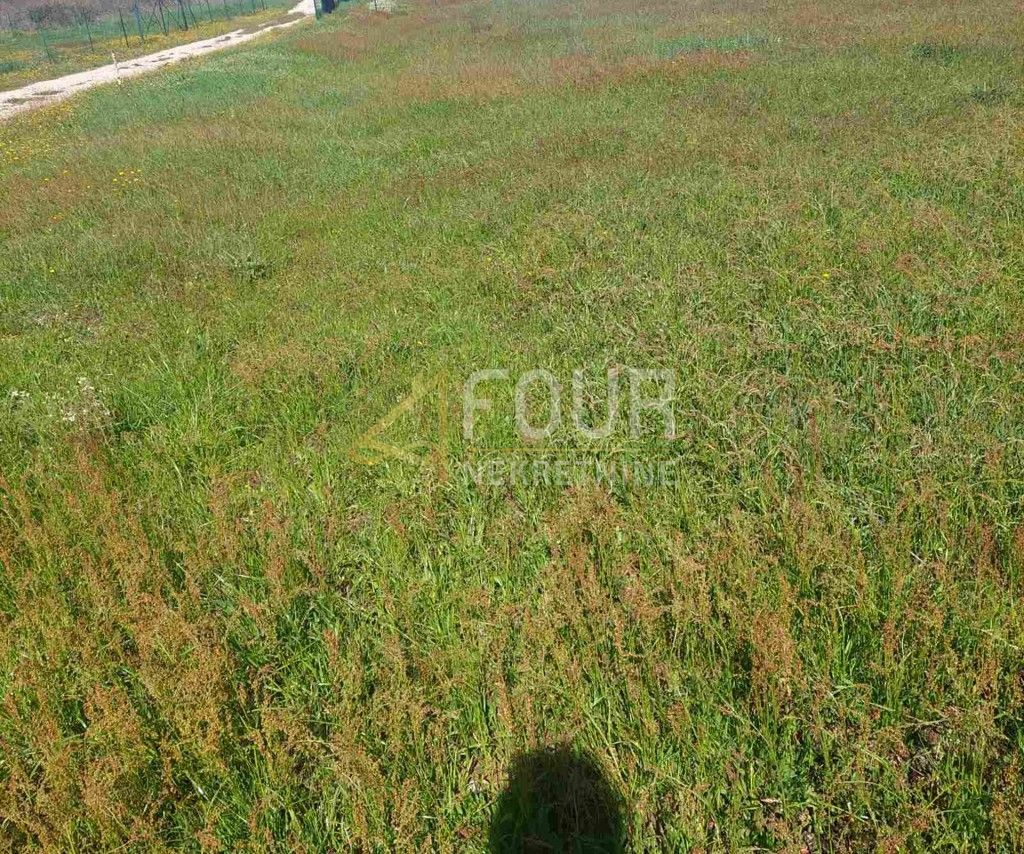 Zemljište u Ližnjanu, 501m²