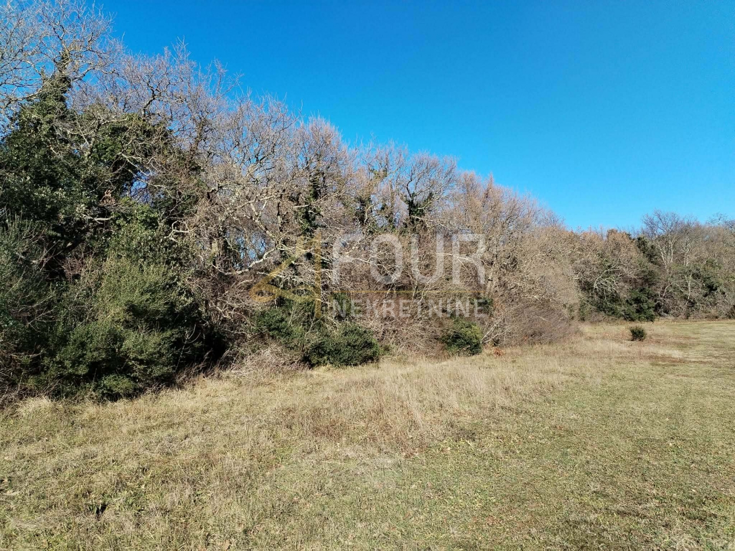 Zemljište u Ližnjanu, 3376m²
