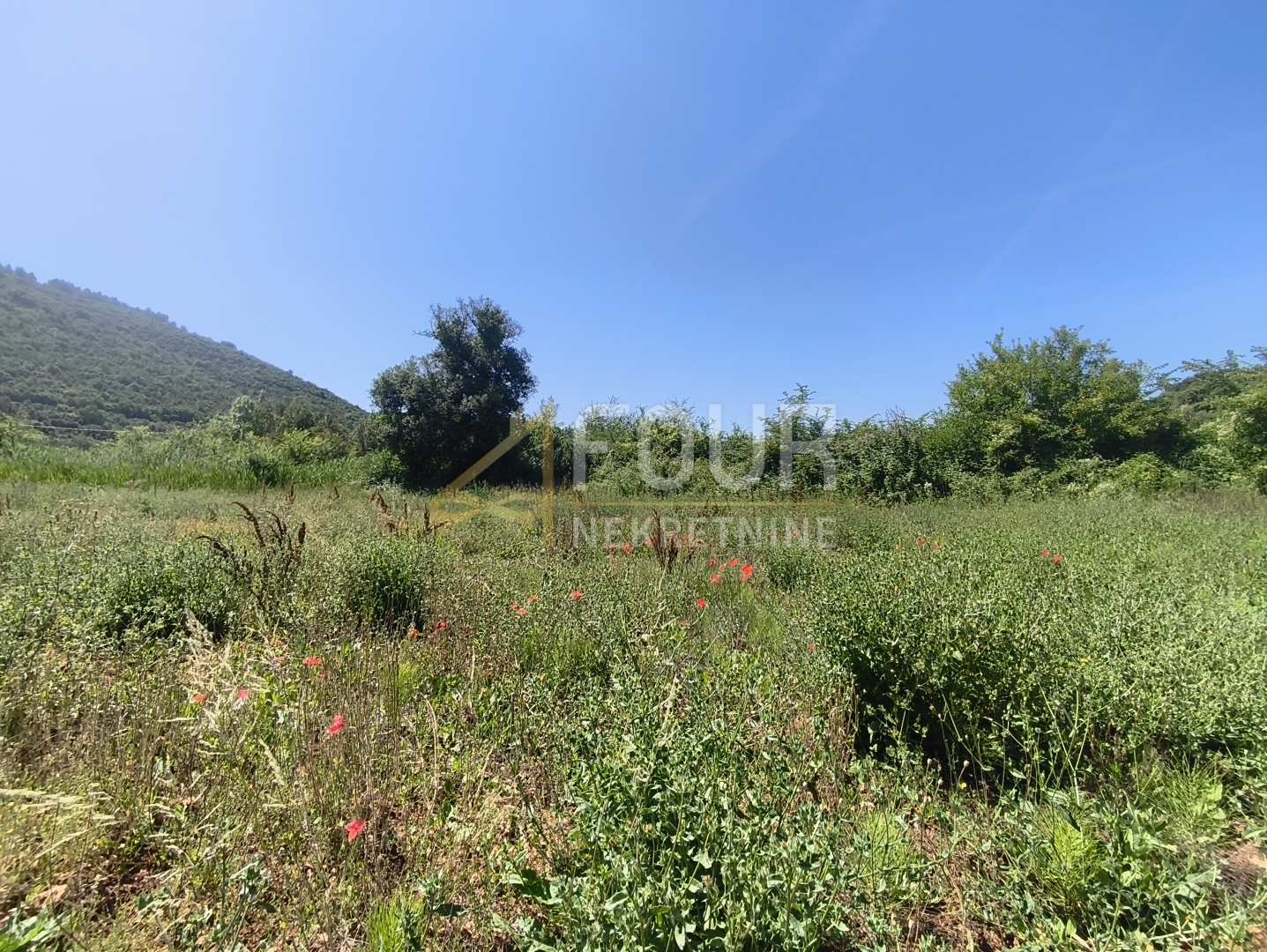 Zemljište u Ližnjanu, 14500m², slika 2
