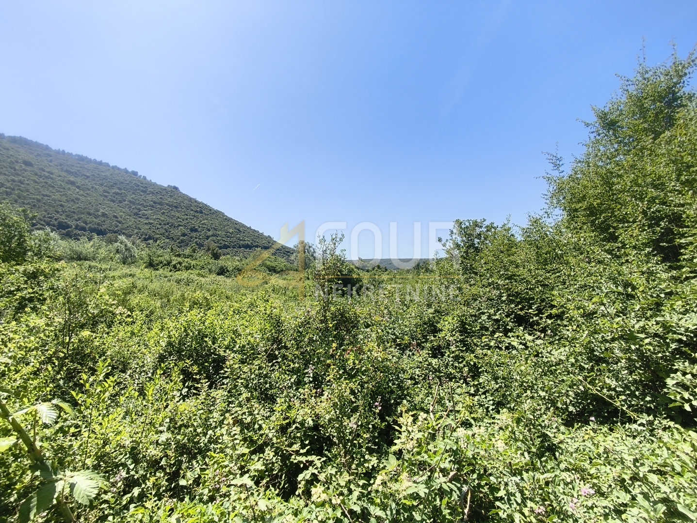 Zemljište u Ližnjanu, 14500m², slika 4