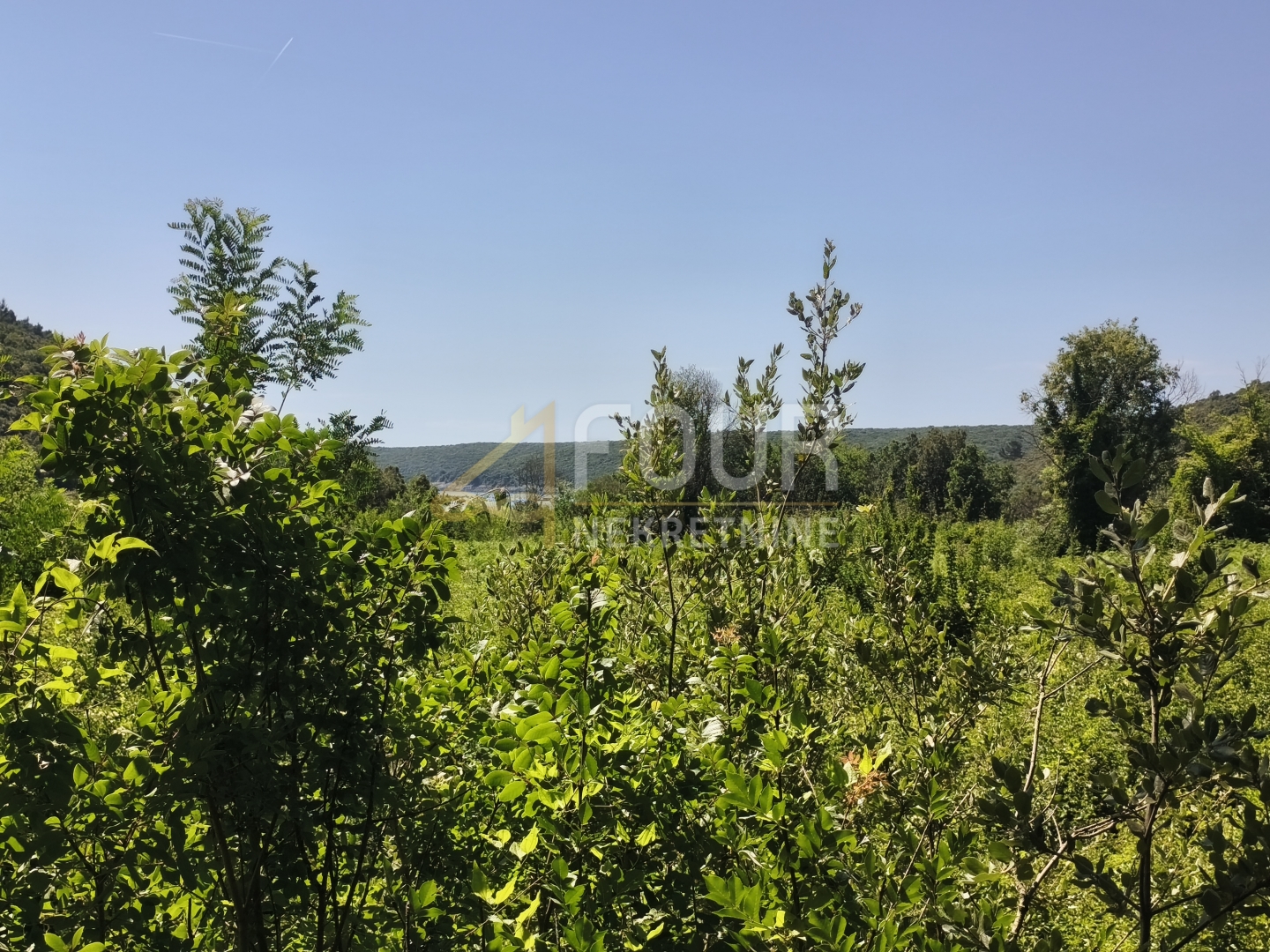 Zemljište u Ližnjanu, 14500m², slika 5