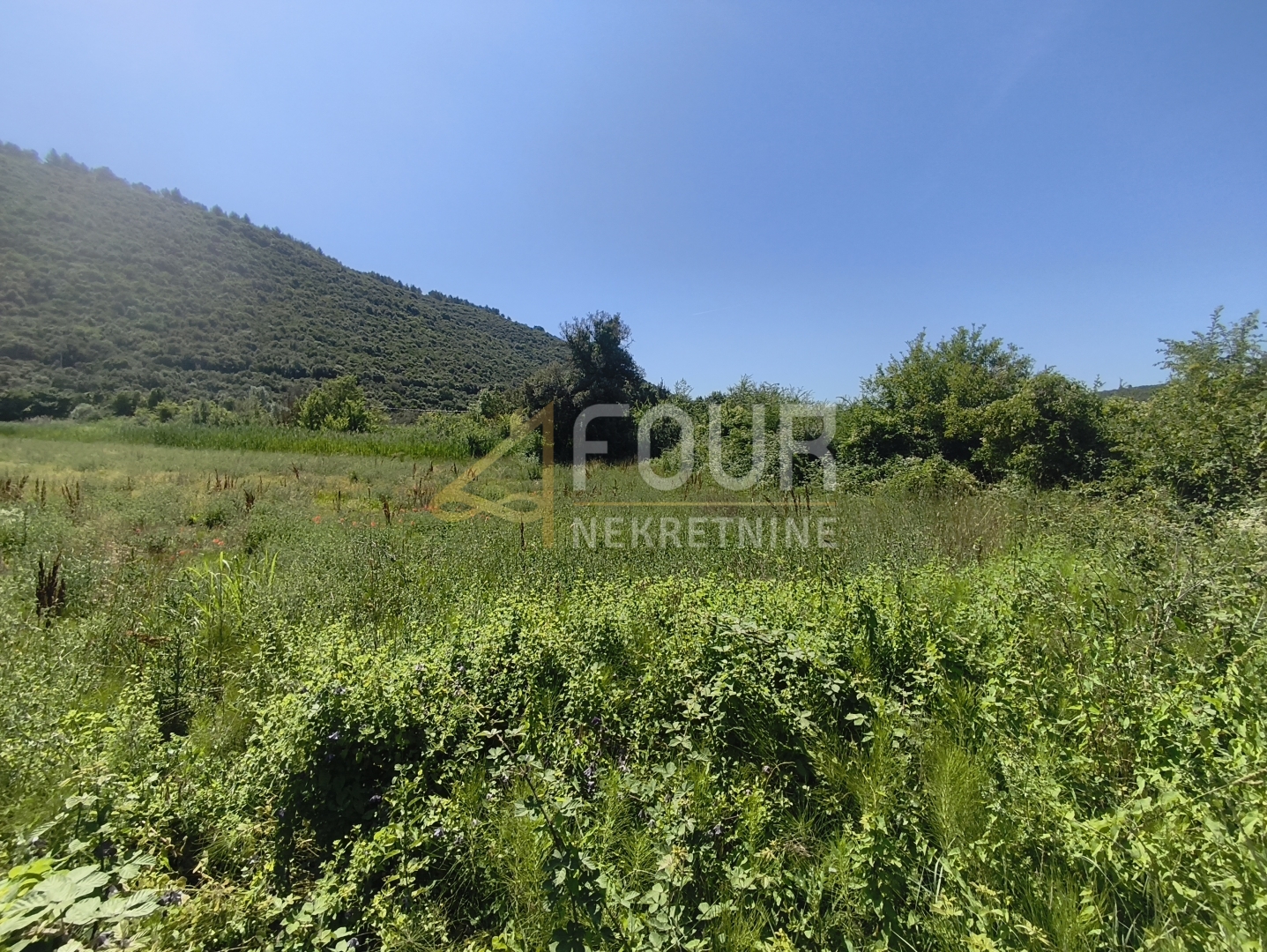 Zemljište u Ližnjanu, 14500m², slika 3