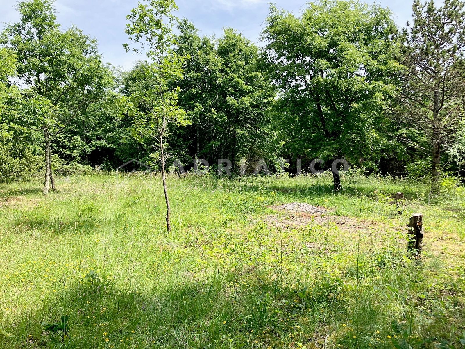Zemljište u Kanfanaru, 12171m² — slika 3