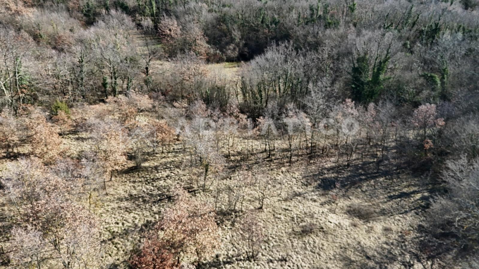 Zemljište u Žminju, 1012m² — slika 2