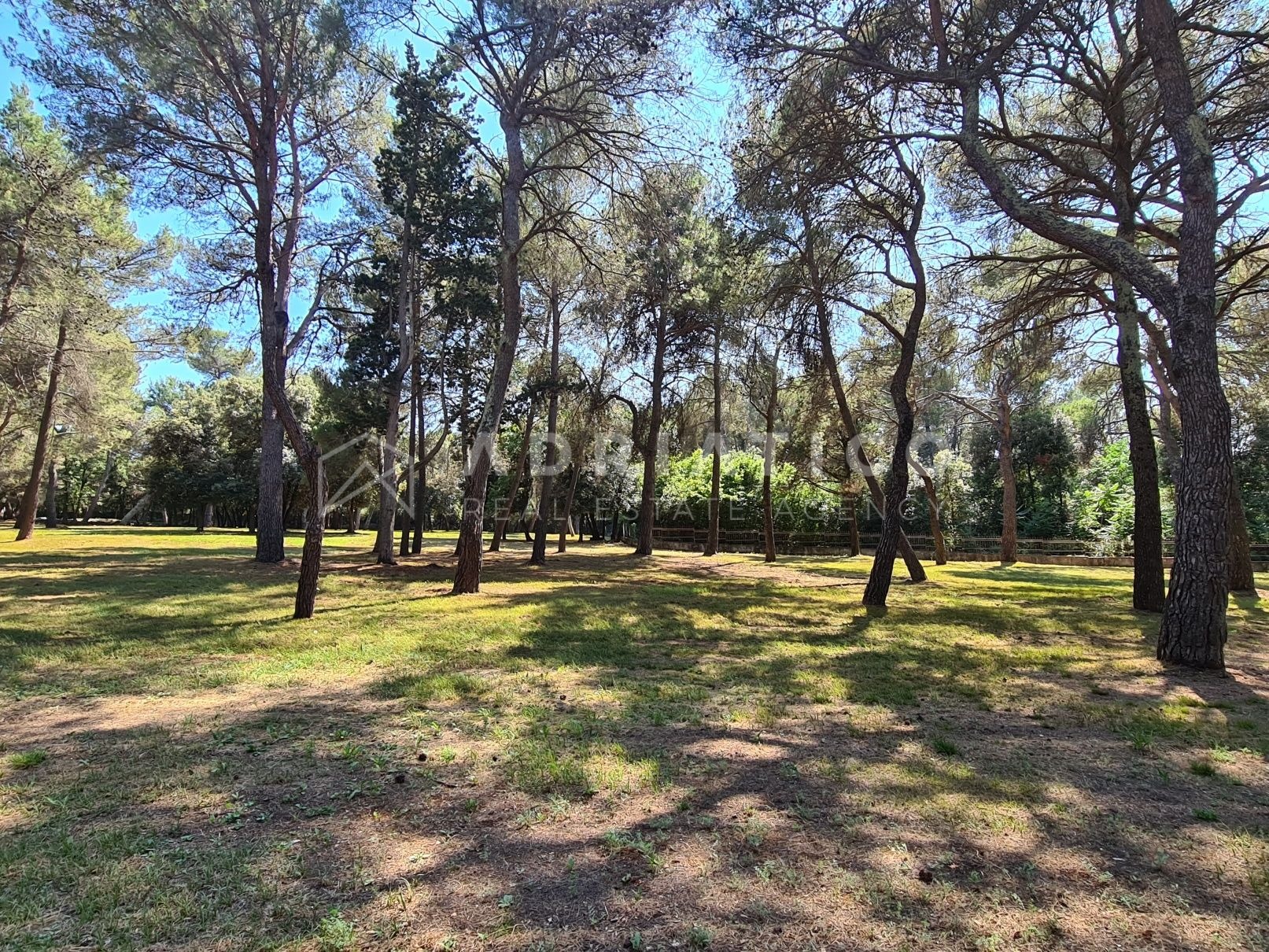 Zemljište u Rovinju, 12000m² — slika 3