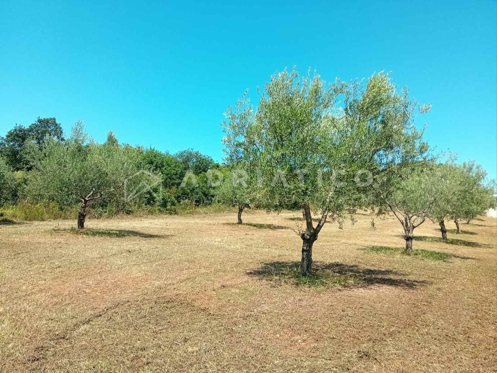 Zemljište u Rovinju, 5046m² — slika 2