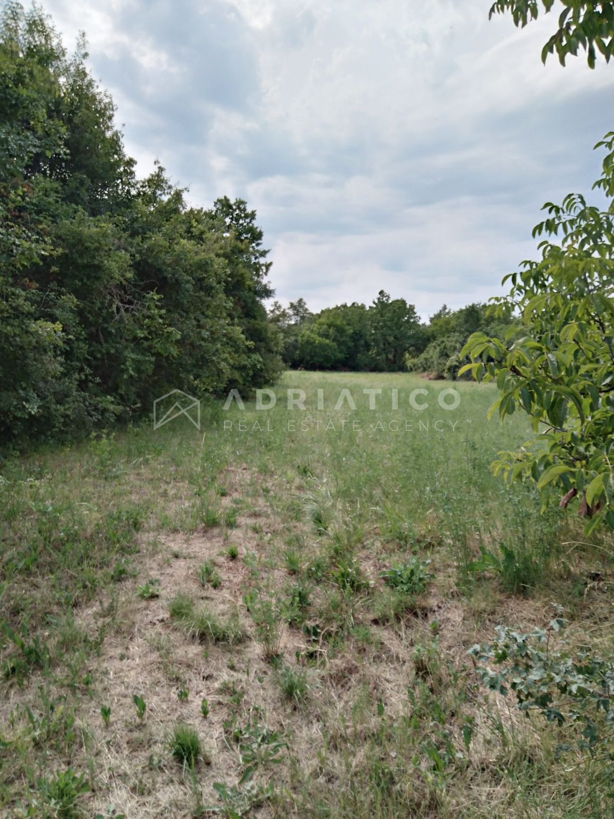 Zemljište u Tinjanu, 1550m²