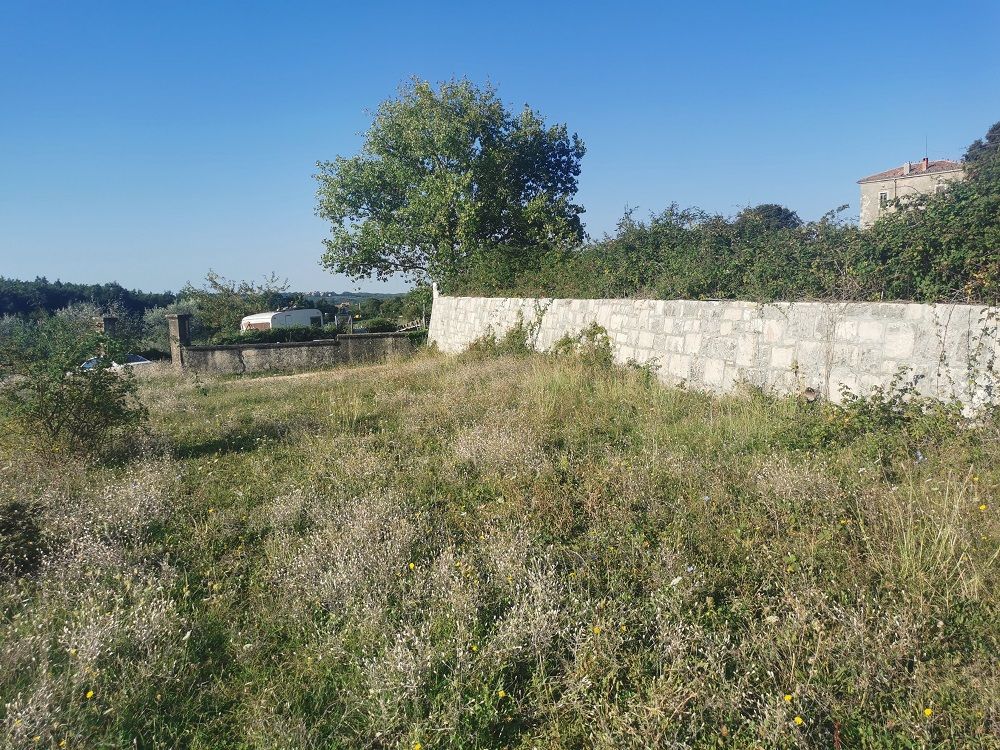 Land u Vižinadi, 2756m², slika 3