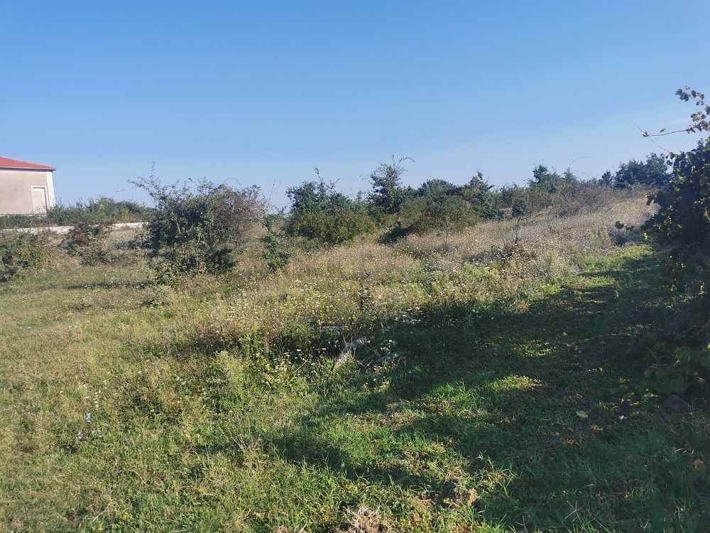 Land u Vižinadi, 2756m², slika 5