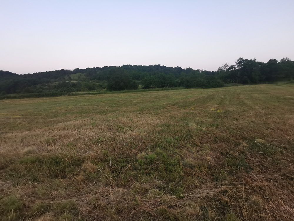 Terreno u Pazinu, 3536m², slika 3