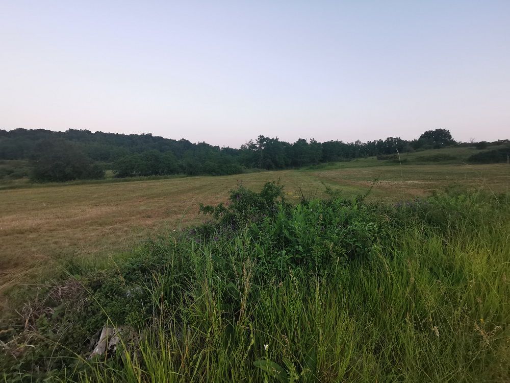 Terreno u Pazinu, 3536m², slika 5