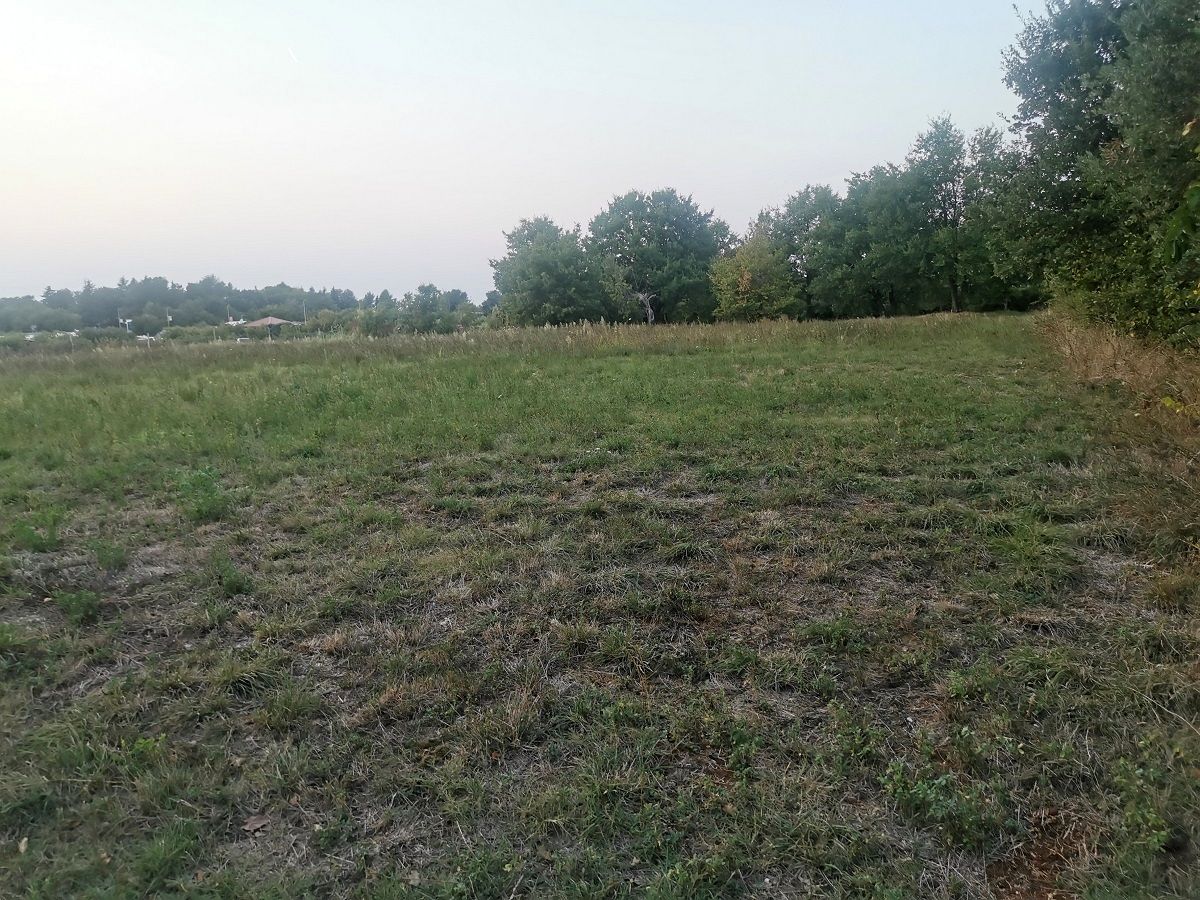 Grundstück u Tar-Vabrizi, 2521m², slika 3