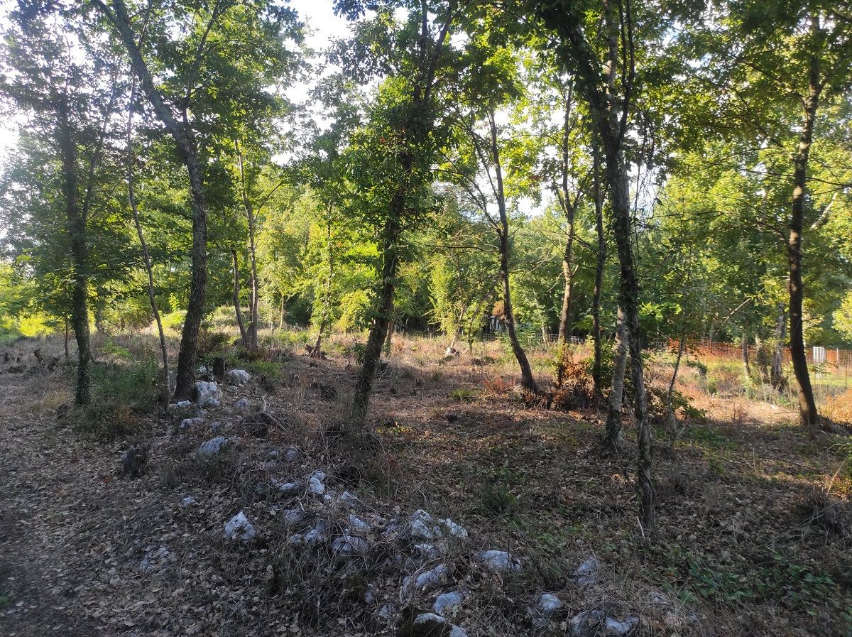 Land u Višnjanu, 1696m², slika 5