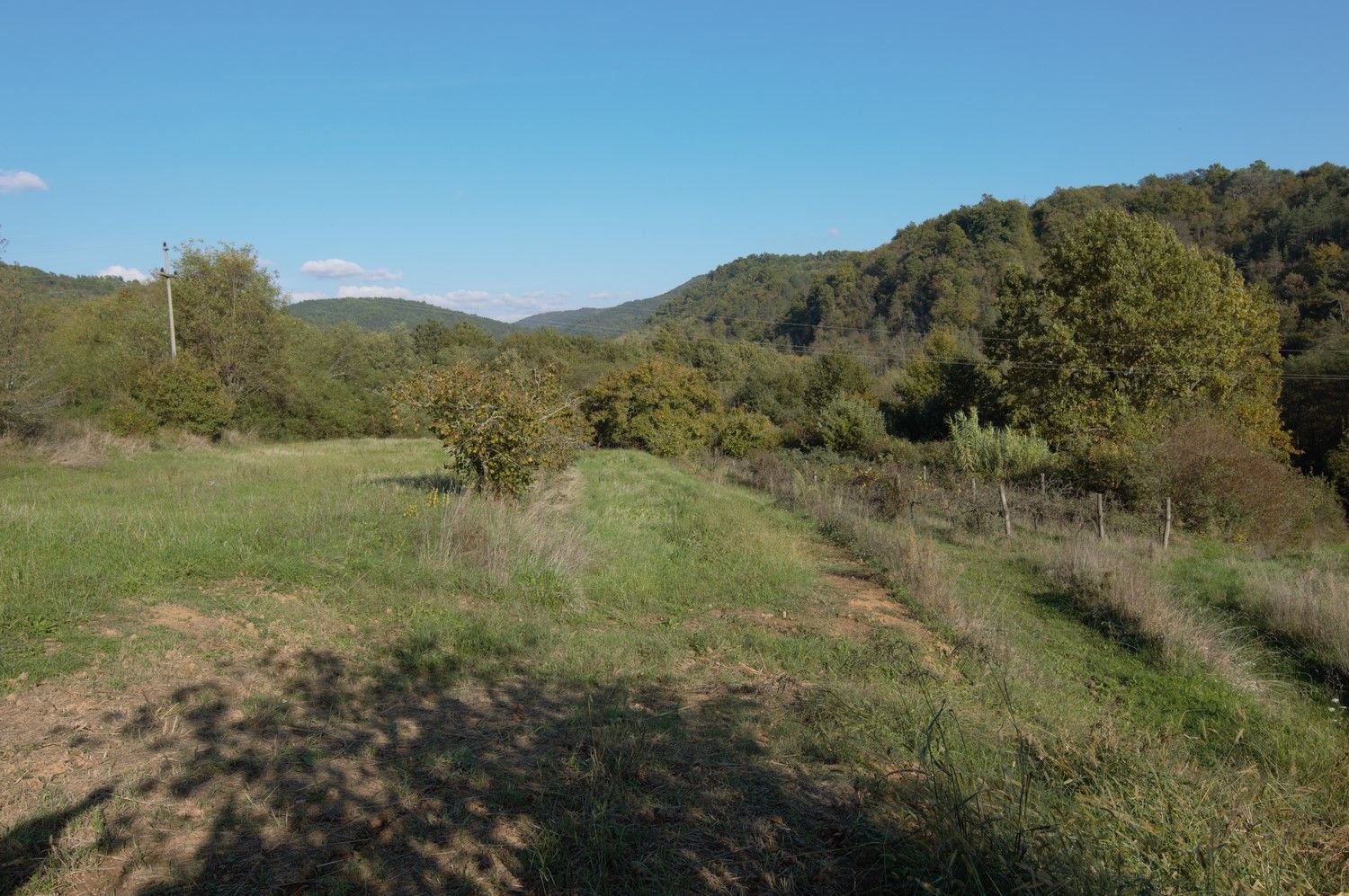 Terreno u Motovunu, 800m², slika 2