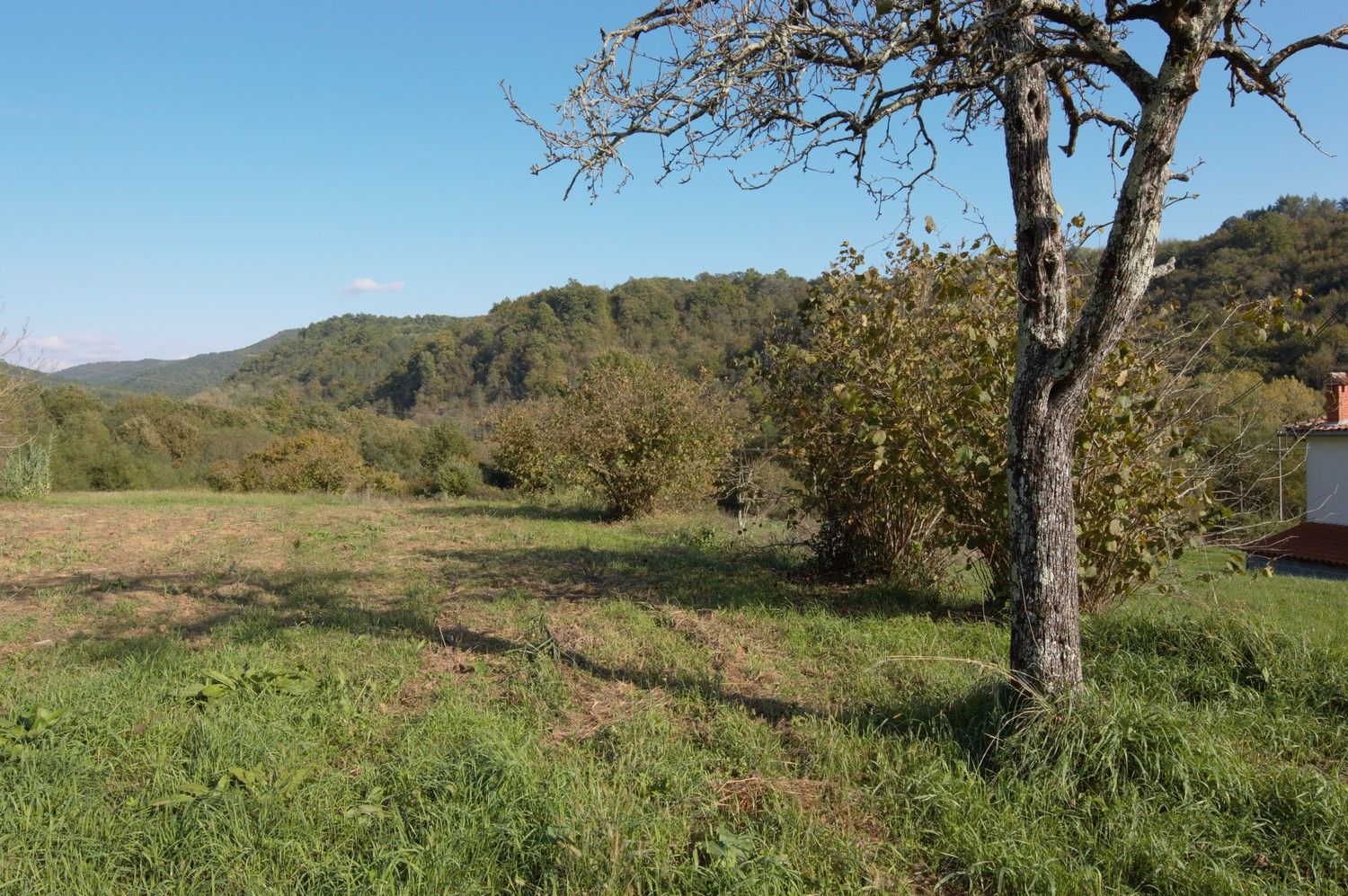 Terreno u Motovunu, 800m², slika 4
