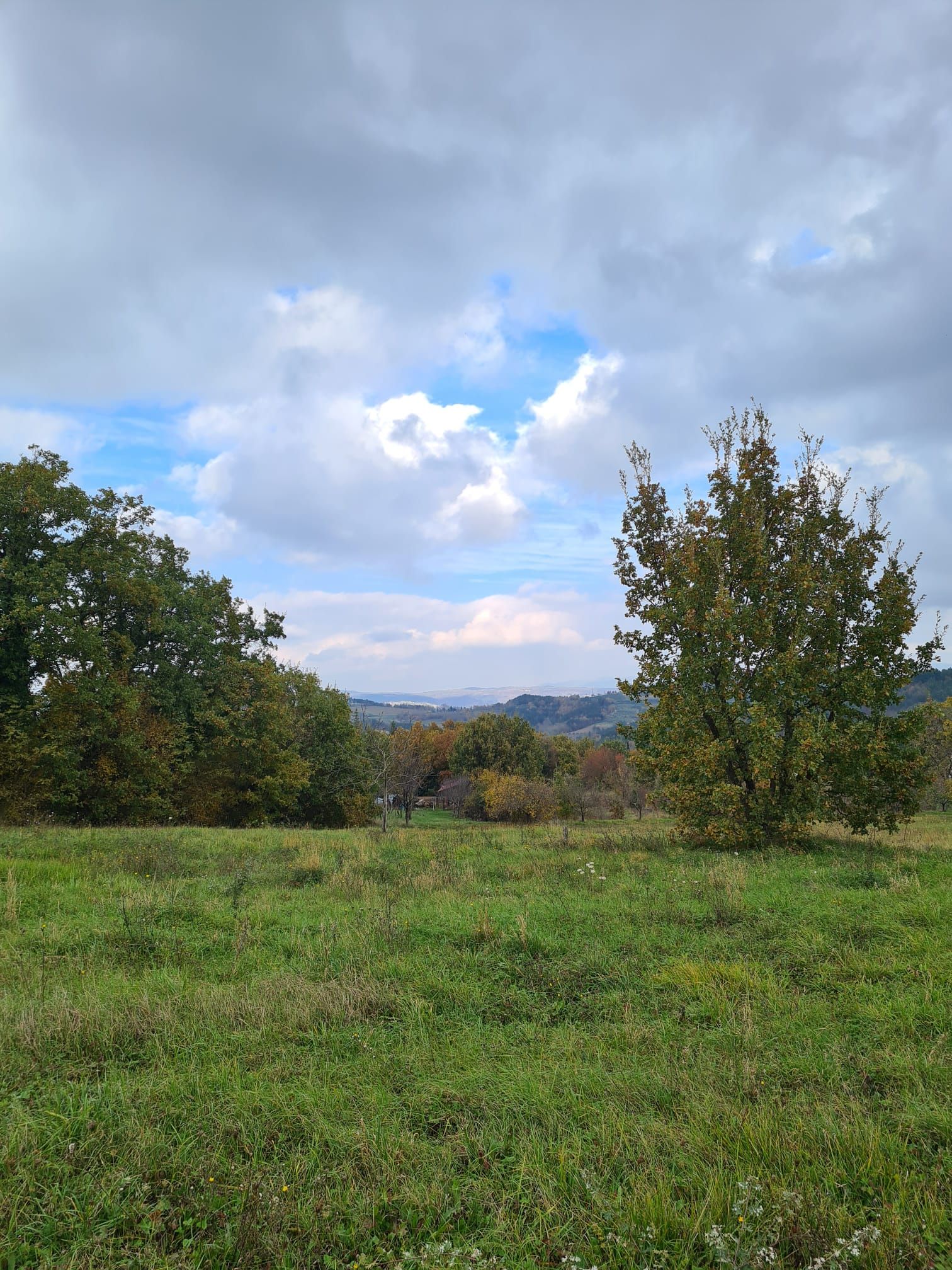 Terreno u Karojbi, 1449m²