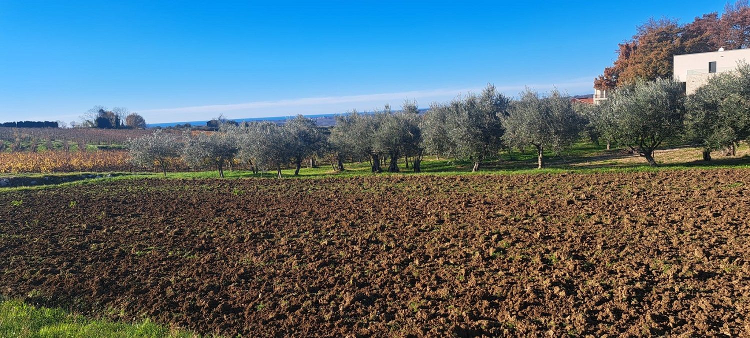 Land u Vižinadi, 1583m²