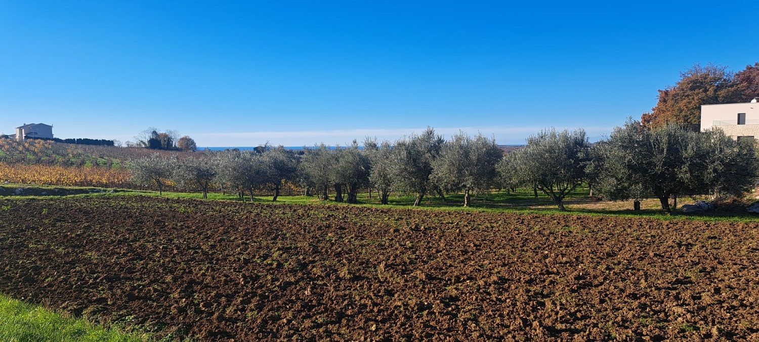 Land u Vižinadi, 1583m², slika 2
