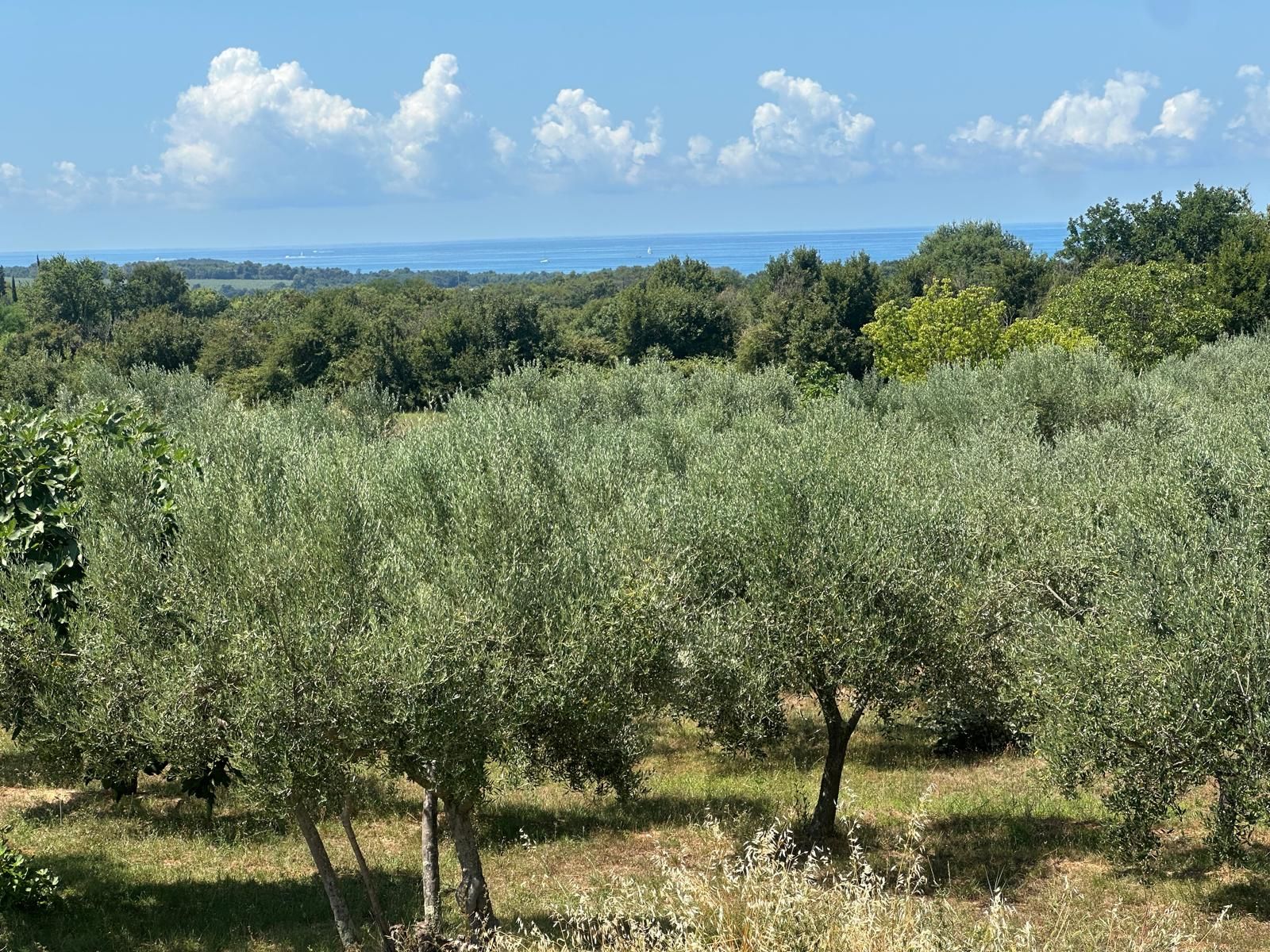 Terreno u Tar-Vabrizi, 1022m²