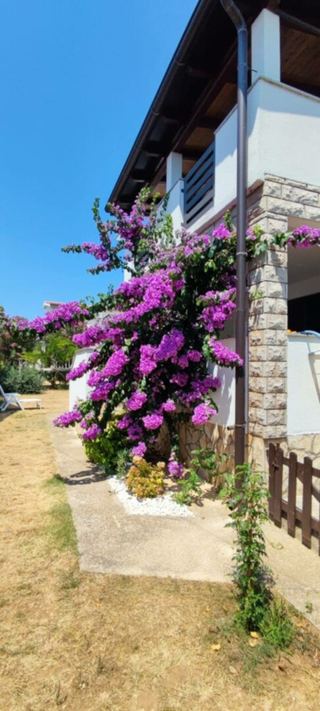 Casa u Privlaci, 140m², 4 sobe, slika 2