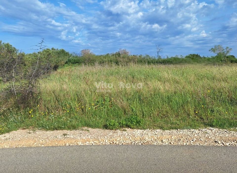 Land u Privlaci, 1482m², slika 2