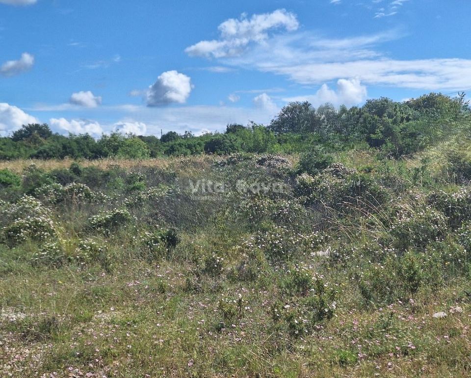 Terreno u Sukošanu, 3443m²