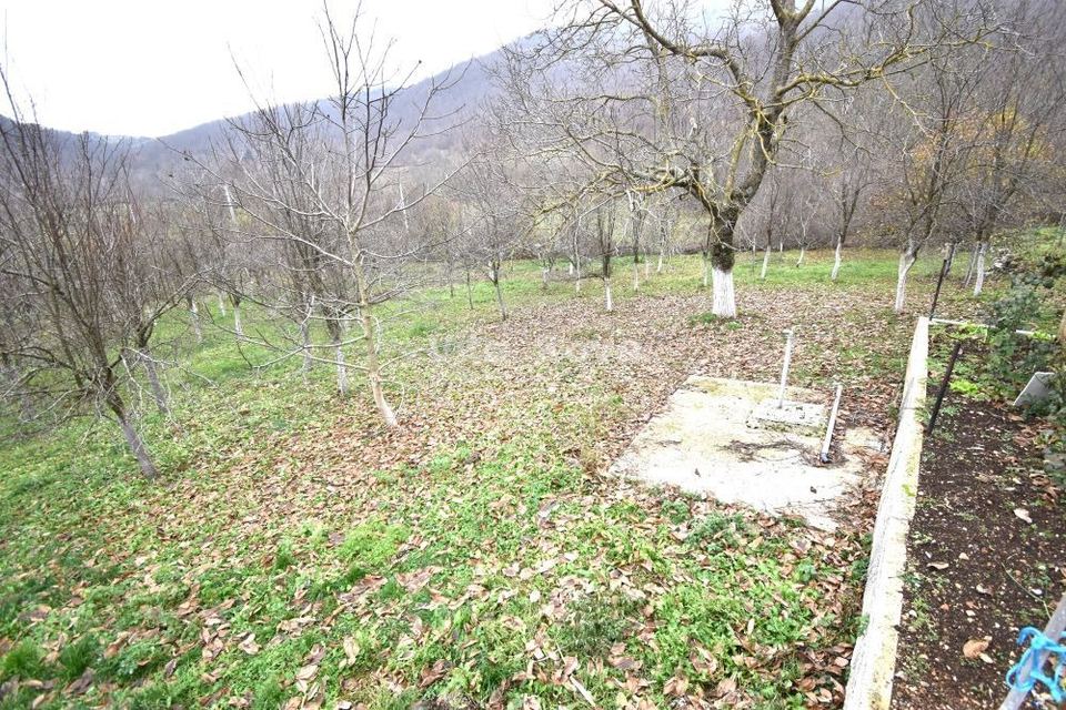 Haus u Lovincu, 54m², 1 soba