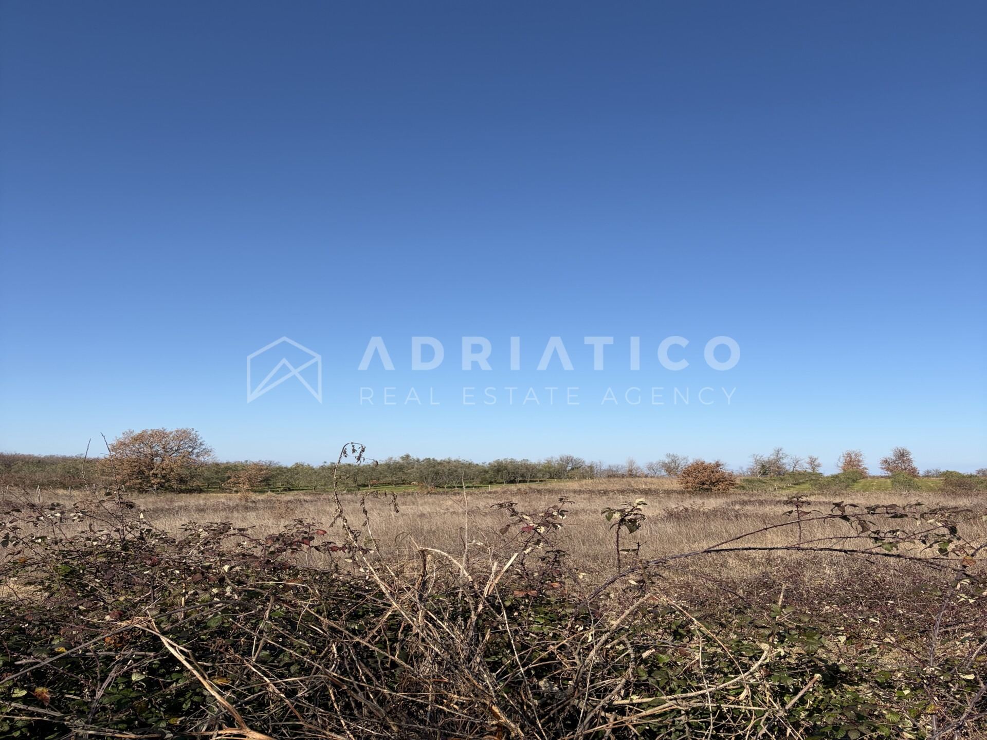 Land u Umagu, 4000m², slika 2