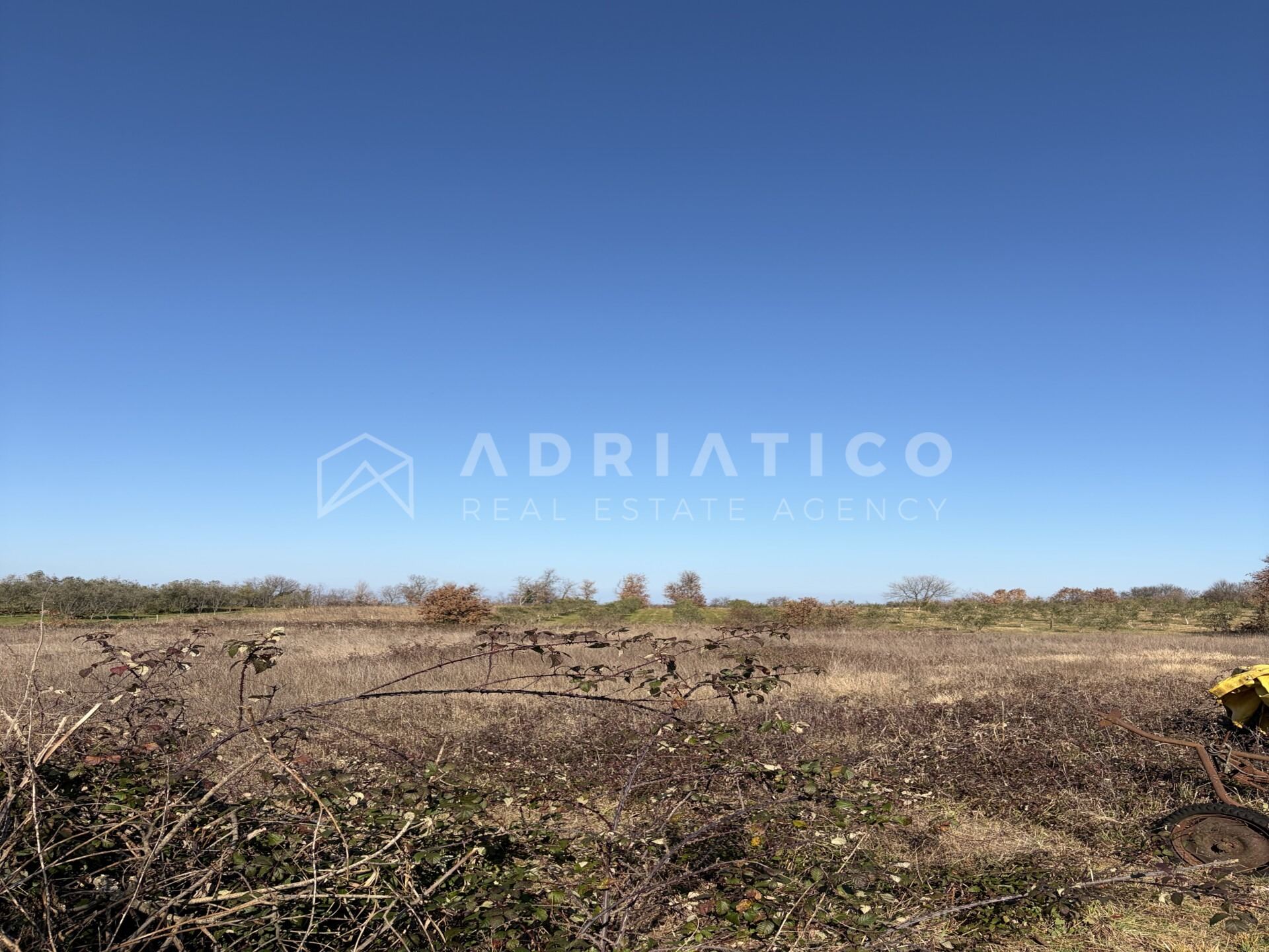 Land u Umagu, 4000m², slika 3