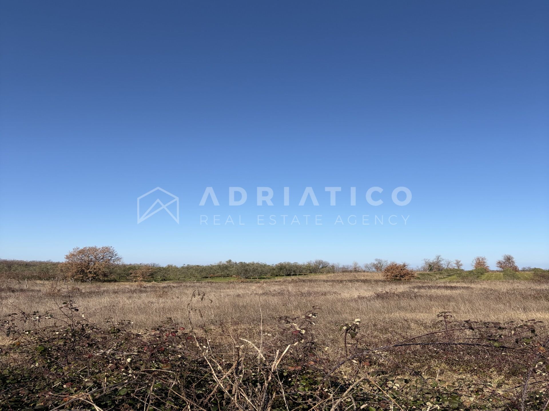 Land u Umagu, 4000m², slika 4