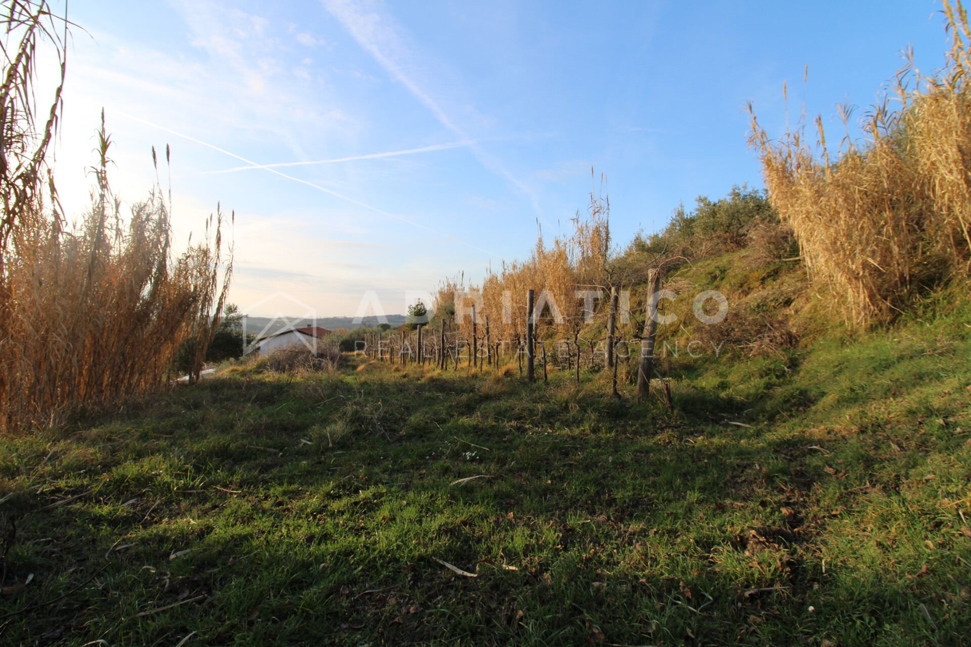 Grundstück u Buju, 2199m², slika 2