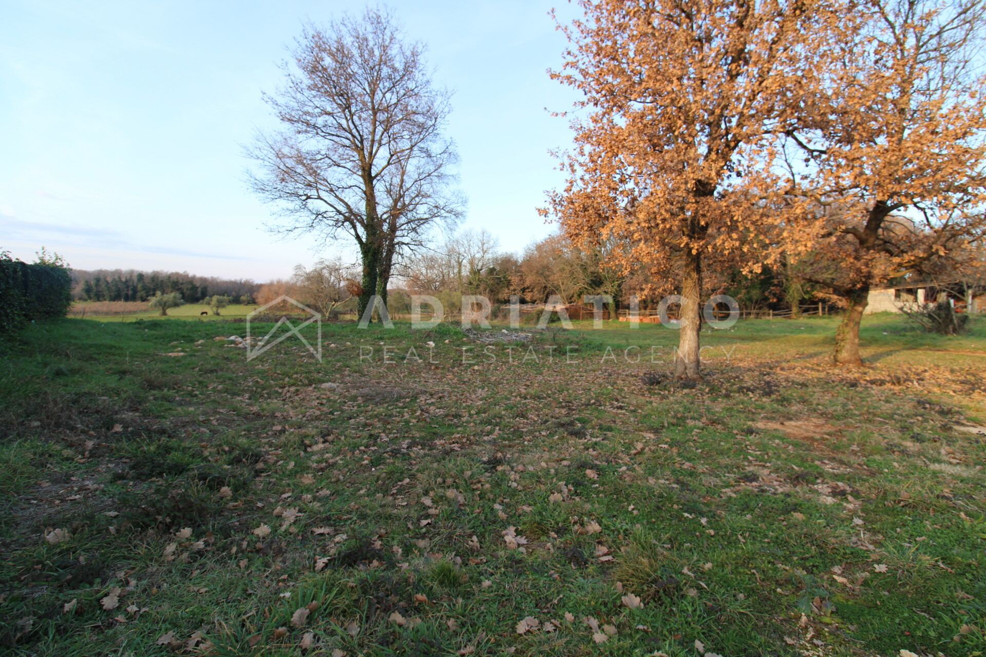 Terreno u Brtonigli, 1274m², slika 4