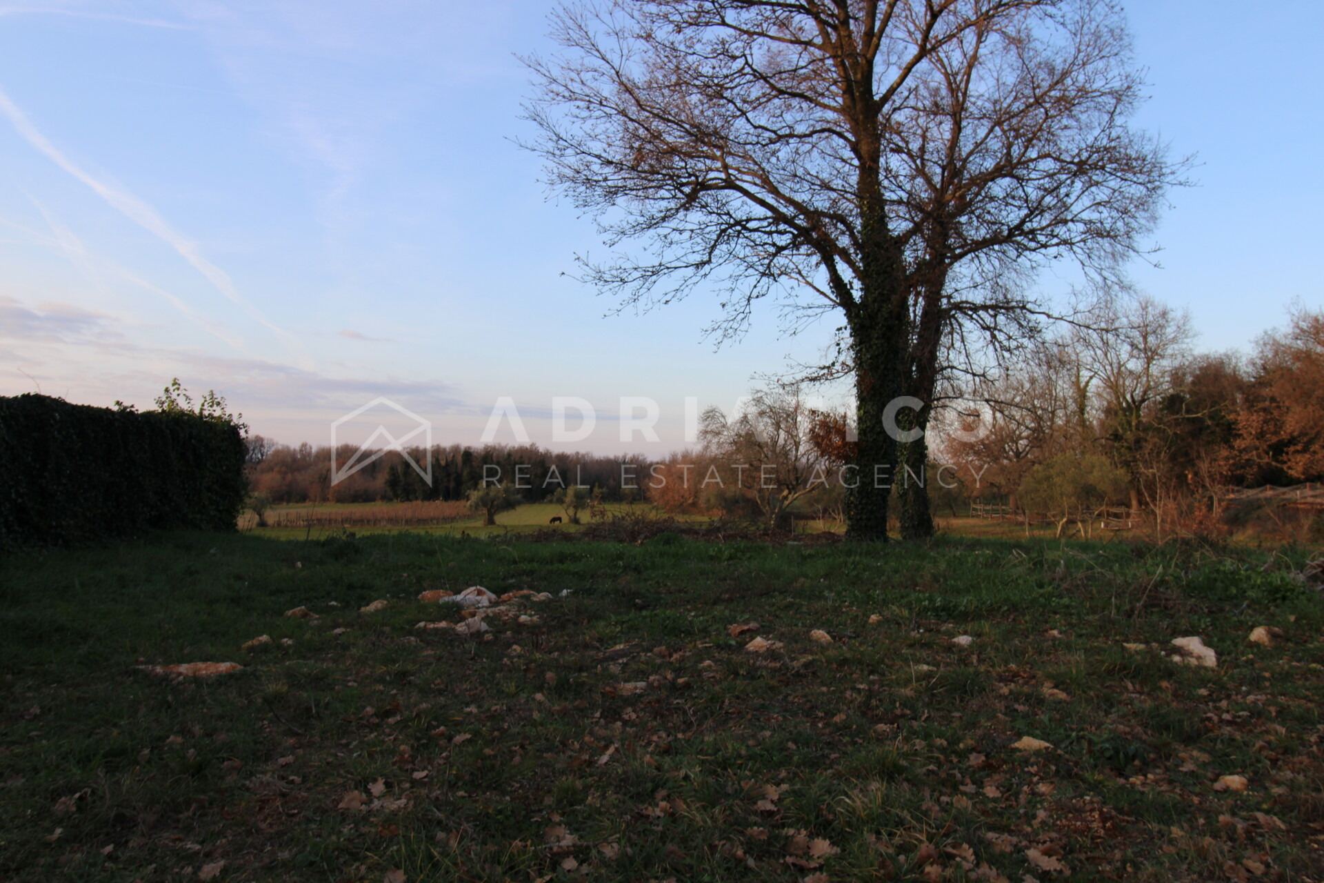 Terreno u Brtonigli, 1274m², slika 5