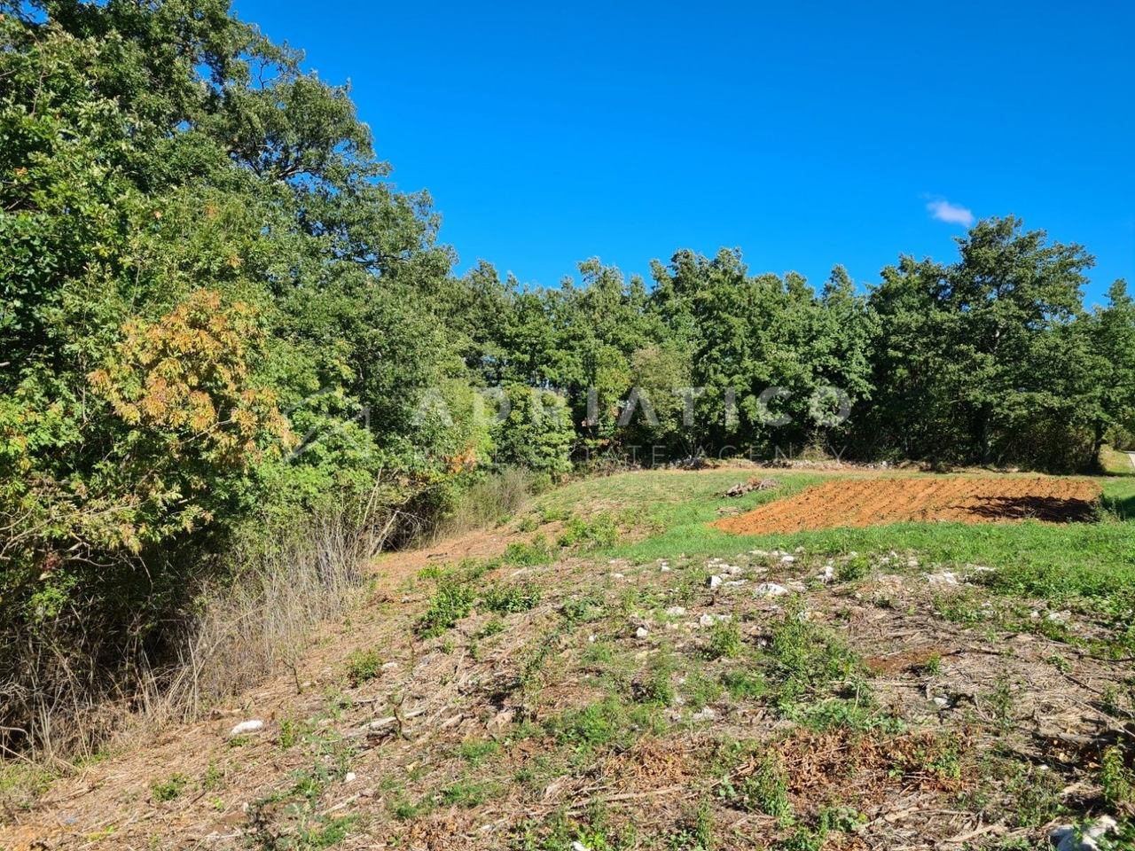 Zemljište u Žminju, 1564m², slika 3