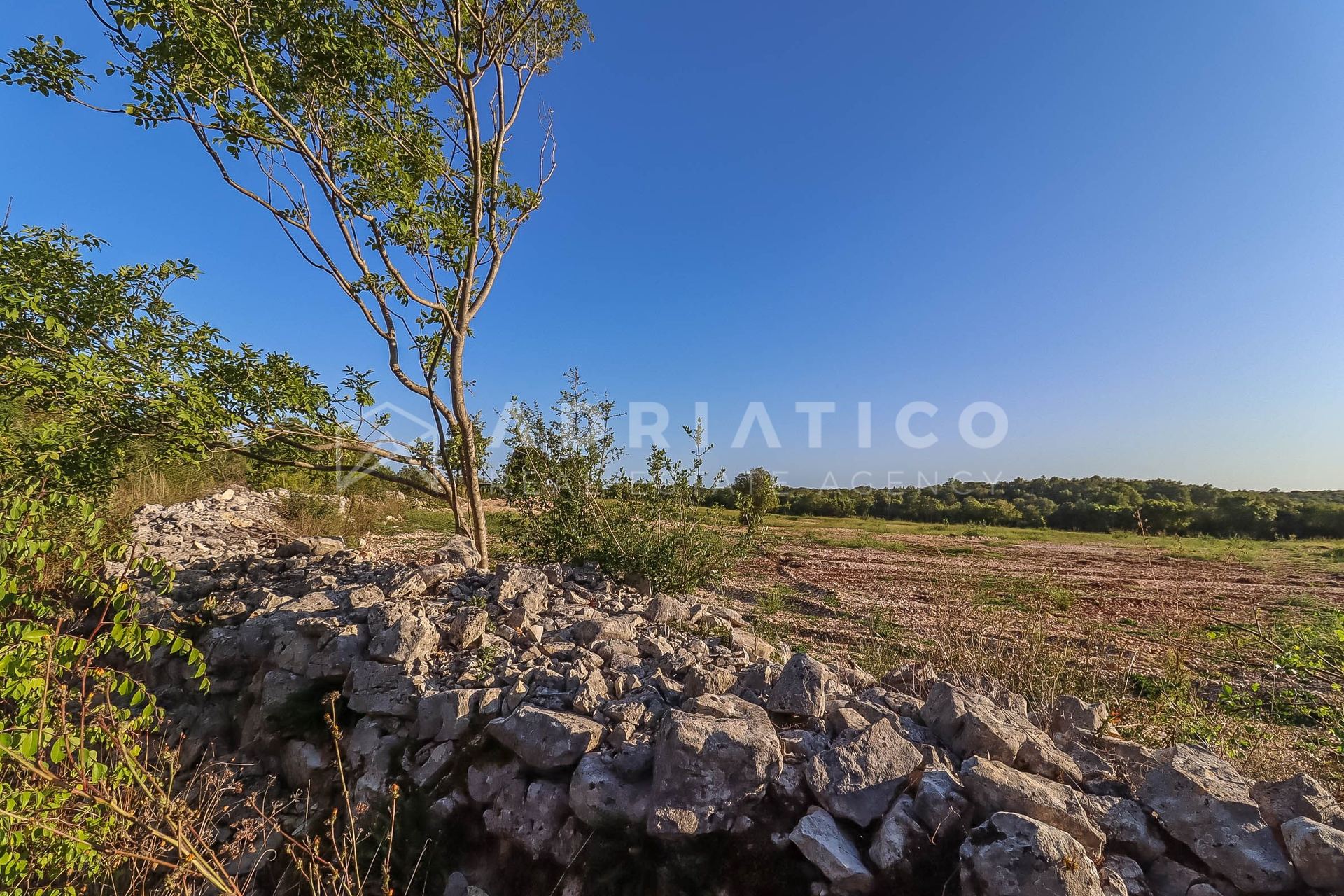 Terreno u Rovignu, 13959m², slika 2