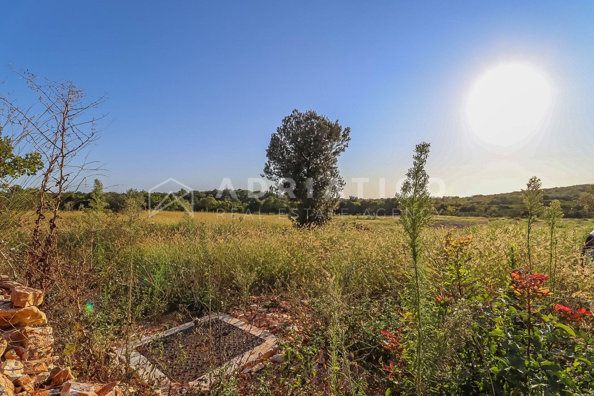 Terreno u Rovignu, 13959m², slika 4