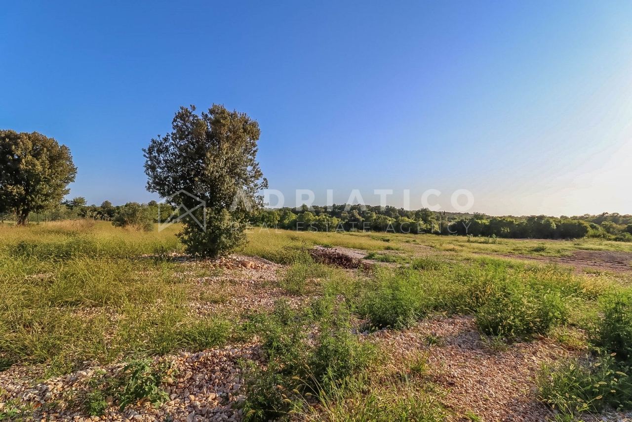Terreno u Rovignu, 13959m², slika 5