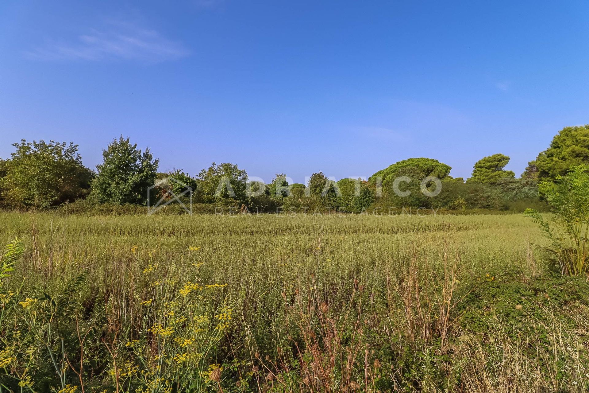 Zemljište u Fažani, 2050m², slika 2