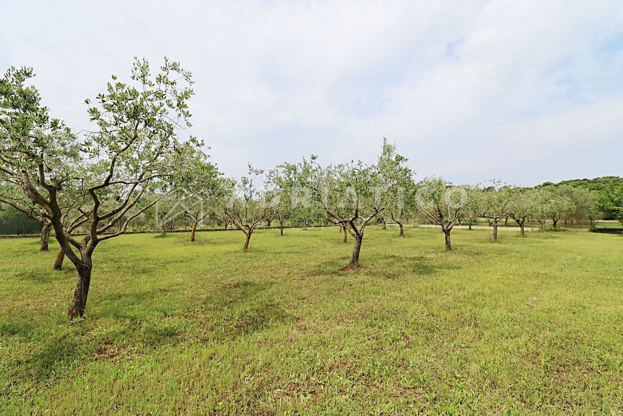 Zemljište u Rovinju, 1000m²