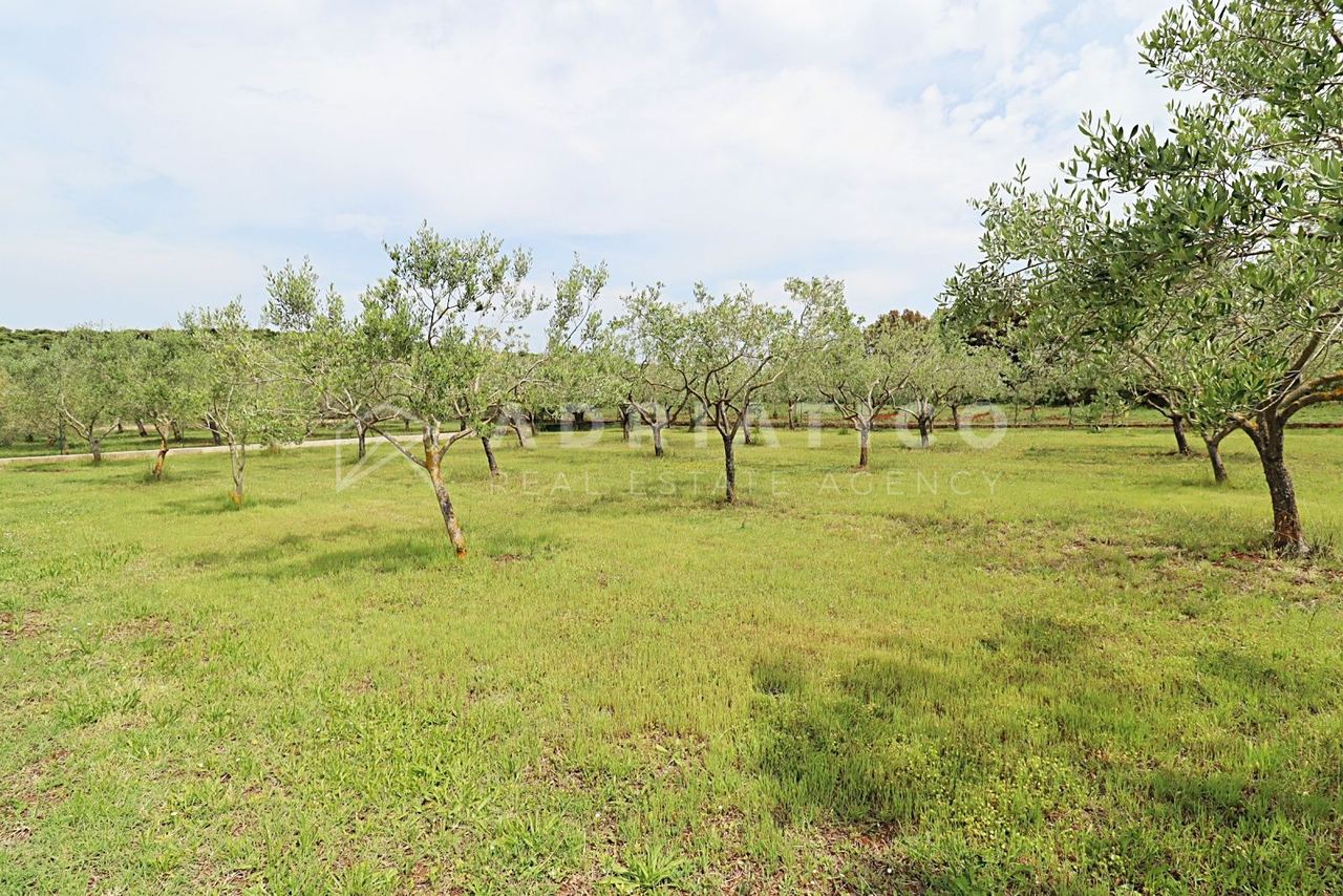 Zemljište u Rovinju, 1000m², slika 2