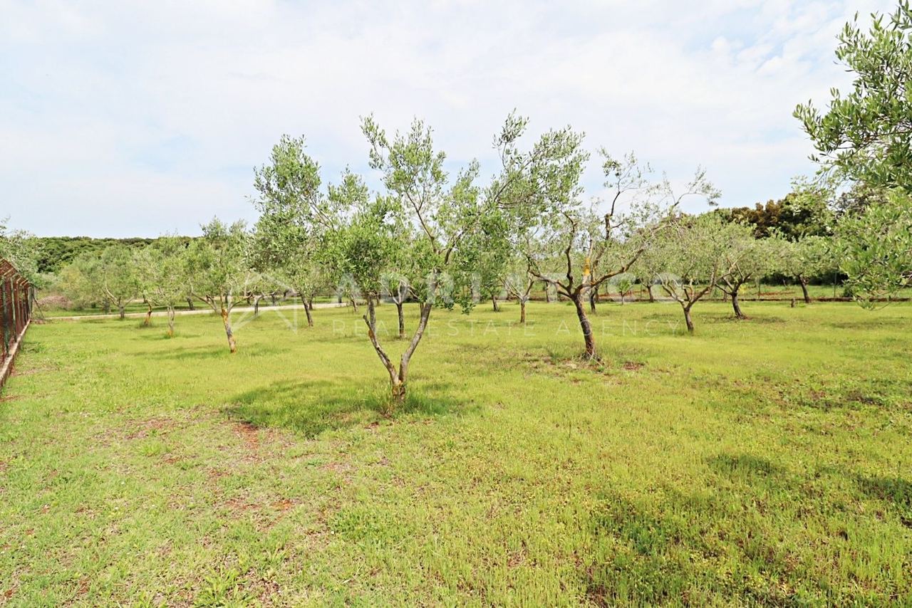 Zemljište u Rovinju, 1000m², slika 3