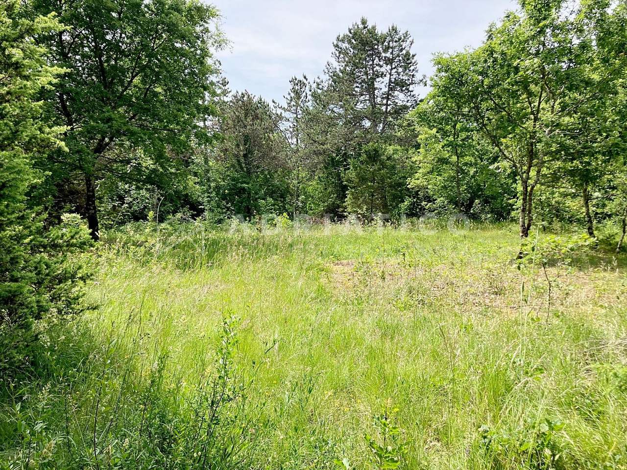 Zemljište u Kanfanaru, 12171m²