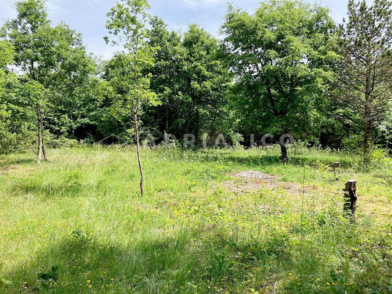 Land u Kanfanaru, 12171m², slika 3