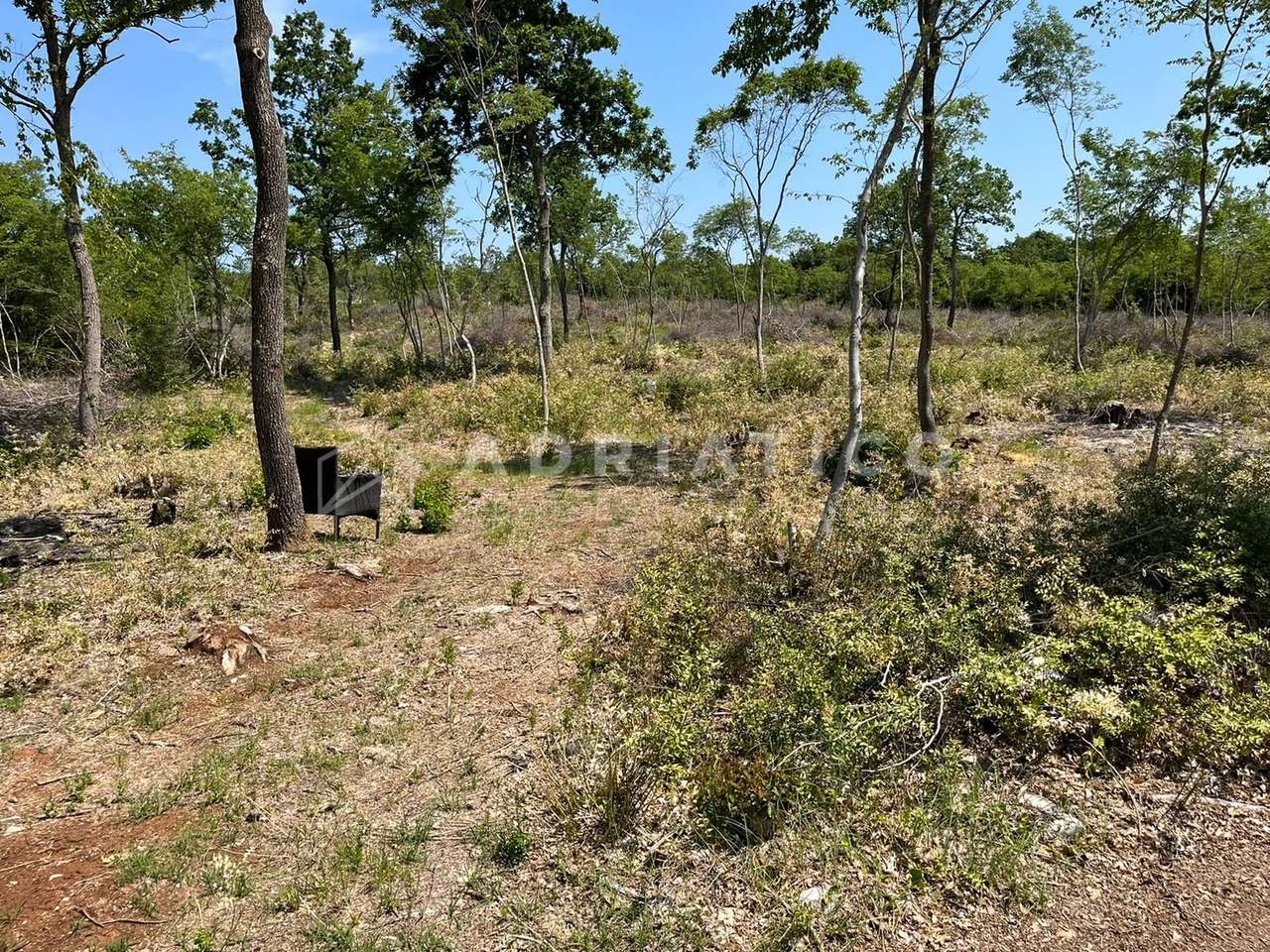 Terreno u Balama, 27417m², slika 2
