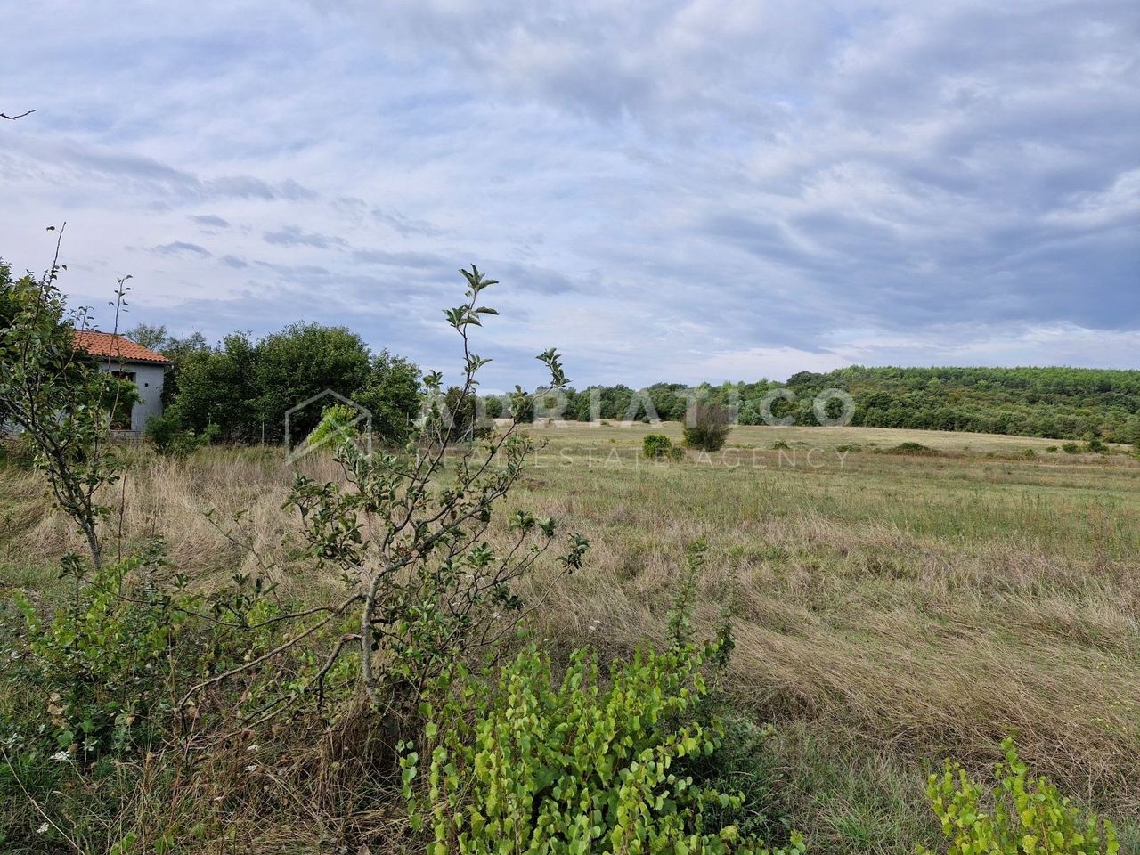 Terreno u Rovinju, 9982m²