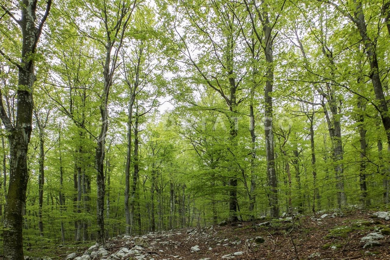 Zemljište u Kanfanaru, 27093m²