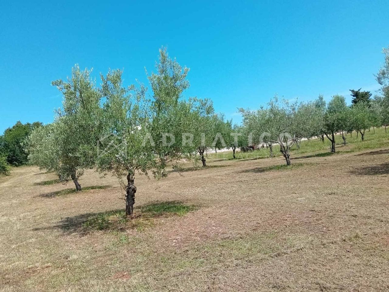 Terreno u Rovinju, 5046m²