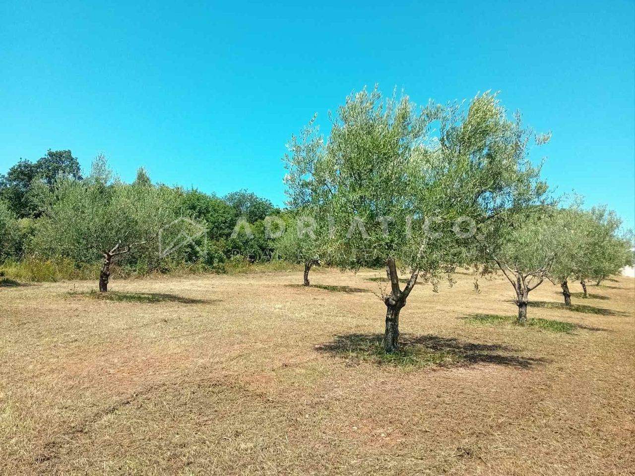 Zemljište u Rovinju, 5046m², slika 2