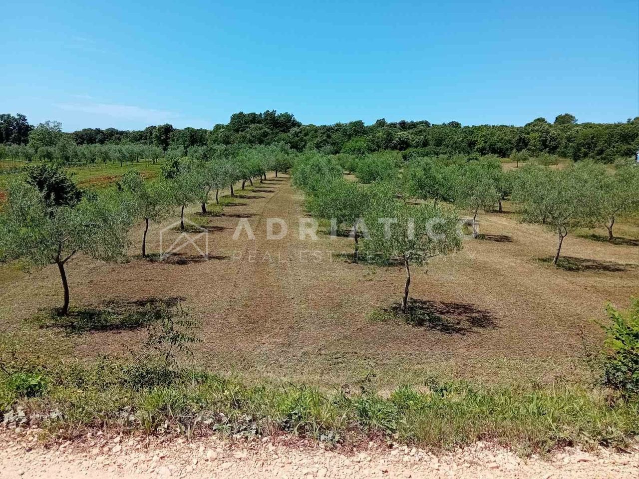 Zemljište u Rovinju, 5046m², slika 3